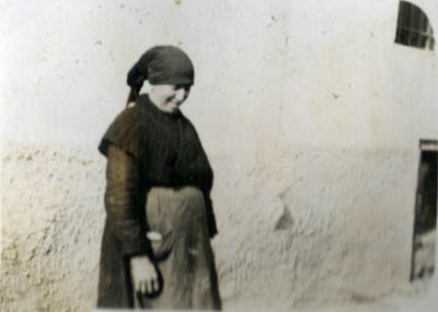 ELV005