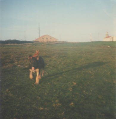 GAV014