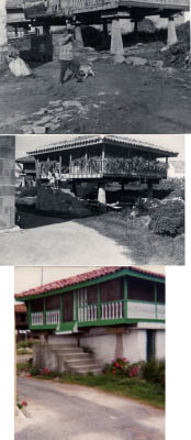 JAMhorreos
