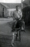 JOV019