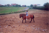 VAL017